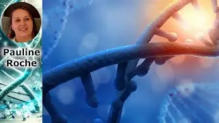 Comprendre le poison et l'antidote : D&eacute;finitions et m&eacute;canismes d'action expliqu&eacute;s !