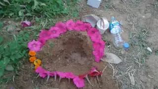 BJ방탄 병아리가 죽다???(다리 뿌러젔다