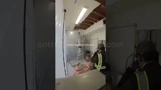 asmr & pov water damage ceiling drywall demolition