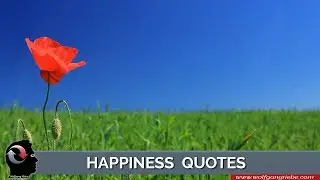 Happiness Quotes by Unknown Authors: Wolfgang Riebe