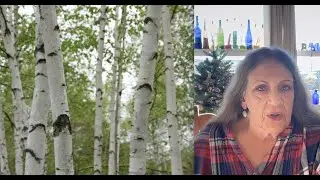 Predictions #5&mdash;Johnson/Kennedy Out! ALL Files Released!&mdash;Birch #channeling #naturelovers #treelovers