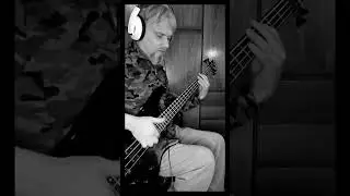 Barnyard Funk Experiment #slapbass #bass #grooveoftheday #bassplayer