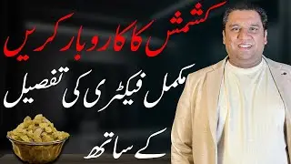 How Kishmish Business Works in Pakistan | Complete Training & Profit Guide
