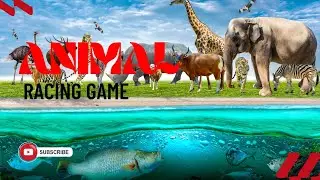 Animal speed Comparison  Part 1| Wild Animals Racing Game🎮 | Animal speedway🦍🐂