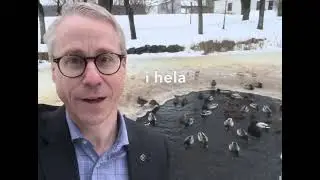 &Auml;r politiken en ankdamm 🦆