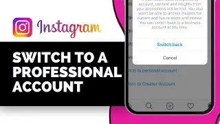 How to Switch to a Professional Account on Instagram (2025 Full Guide)