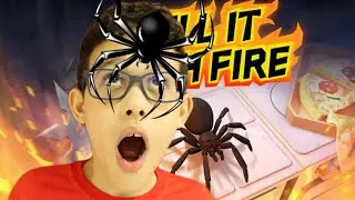 ARANHAS INVADIRAM A MINHA CASA NO JOGO KILL IT WITH FIRE