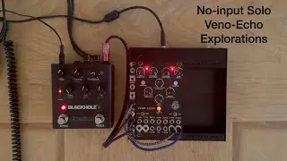 No-Input Explorations with Veno-Echo