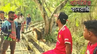 Man vs Monkey 🐵🐵 fight (Bangladesh mangrove forest sundorbon part-2)#AnikA💓 jakir #tour vlog