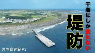 干潮にしか渡れないスーパー堤防で泳がせ釣り！【喜界島遠征#1】