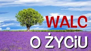 Walc o życiu - Głęboka myśl w prostych słowach - Amelia Sobczyk - Podkład Jangok