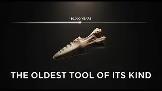 Ancient Elephant Bone Tool A 480,000 Year Old Marvel