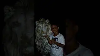 14 agosto 2019