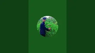 Bishnu official is live