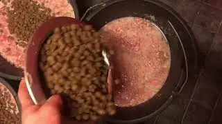 How to make Mush and 'Waste-not Want-not'