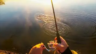 P&ecirc;che &agrave; la carpe avec une surprise indig&egrave;ne au lac Moodemere