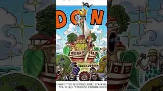 What Happened To The Strawhat Grand Fleet After Dressrosa?! #onepiece #strawhats #luffy #manga