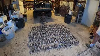 South Texas dove hunt at G&G ranch!