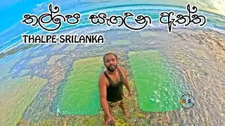 තල්පෙ සැගඋනු ඇත්ත | thalpe beach sri lanka boss tv