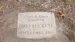 ROCKWAY GARDENS
