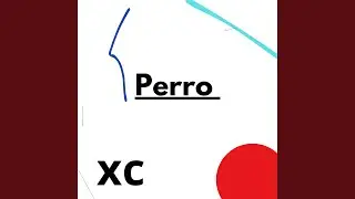 Perro Xc4
