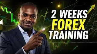 Is Your Forex Strategy COSTING You Money Here's a 2 Week Fix