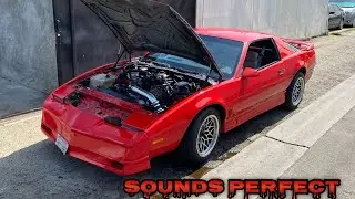 ANOTHER LS SWAP 3RD GEN 6.0 TRANS AM WALK AROUND & REVIEW ( ITS NOT JD TRANS AM )