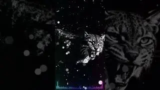 FREE &bdquo;Beat Shock Phase&ldquo; Rap Hits Hard, Dark Mode, Bass Boosted | Freestyle Beat by DJ-RS 2025