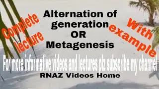 Alternation of generation OR metagenesis | detail lecture with example| What is metagenesis