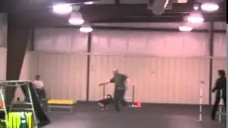 Entlebucher 'Cattle Dog' AKC Agility Masters Standard
