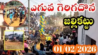 ఎగువగెరిగదొన జల్లికట్టు 💥🐂01/02/2026 eguvagerigadhona jallikattu! Chittoor jallikattu!ap Jallikattu 