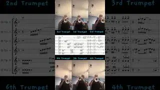 Blue Devils 2017- 