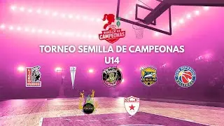 Liceo Curico A VS Ballenary