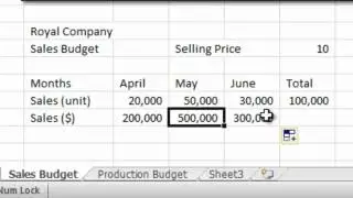 Sales Budget