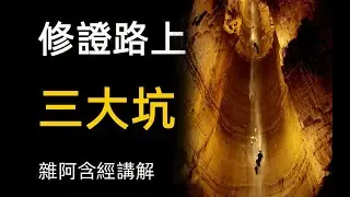 雜阿含經講解14 修證路上三大坑 多巴胺信心 放逸 無善知識 不聞法 Three Pits on the Road to Training Dopamine Confidence Indulgence