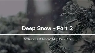 Liquid Fraction - DEEP SNOW - Part 2of 3 - Deep Ambient Techno Mix Dec 2025