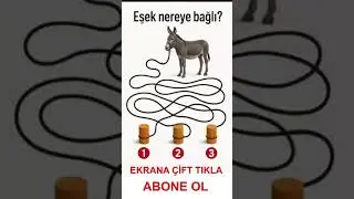 Zeka Sorusu | Doğru Cevabı %10 Kişi Buluyor! 🤯 (Canlı Anket) başlıklı videonun kopyası