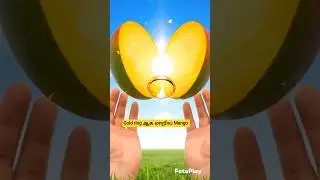 💍Gold ring ஆக மாறிய mango -wait for stunning magical twist -Mango turned into Gold ring #shorts