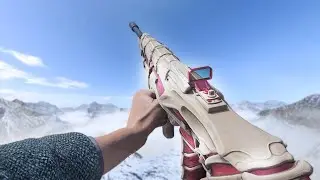 I used the NEW COOPER CARBINE and it's a CHEAT CODE