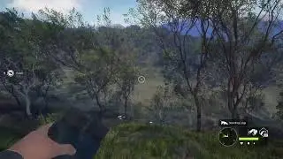 Call of the wild