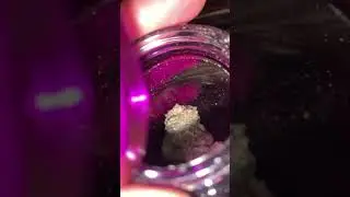TERPY TIME TASTE BUDS - NEW DROP!!!! WIZARD TREES - RS#54 #california #bayarea #fancyflowers #bagart