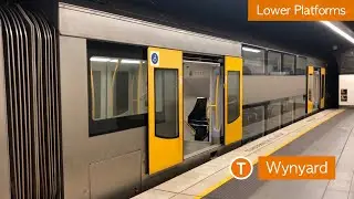 Transport for Sydney Vlog 39: Wynyard Lower Platforms