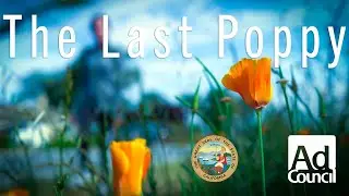 The Last Poppy | California Agriculture PSA (Comedy) | Make Media Studios