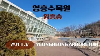 253.영흥수목원/영흥숲/수원가볼만한곳