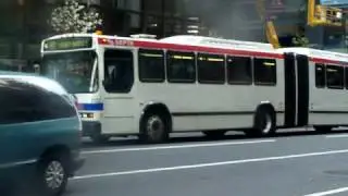 septa neoplan on the rt 48
