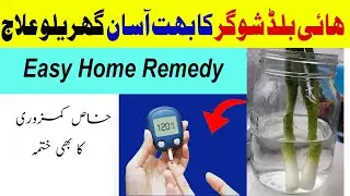 Sugar ka ilaj in Urdu | Diabetes Control Tips | Desi Health Wealth