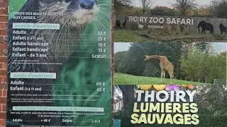 safari au zoo de thoiry . exp&eacute;rience unique &agrave; 1 heure de Paris