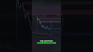 Cardano: This will be important!