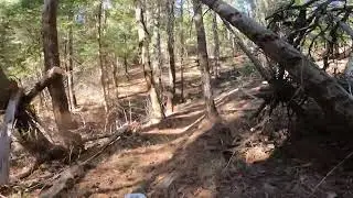 Another great day to be alive and free 🙏 cutting ✂️ trails 