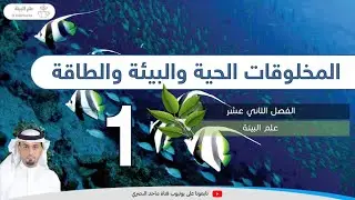 المخلوقات الحية والبيئة والطاقة1